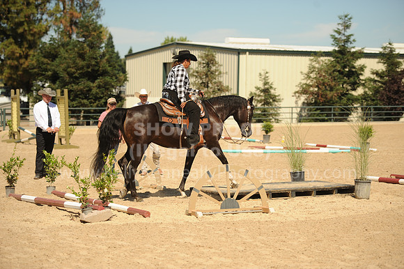 R318_Trail_5295