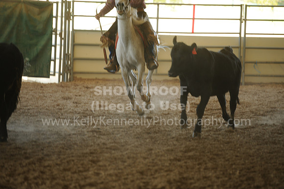 R318_WorkingCow_5573