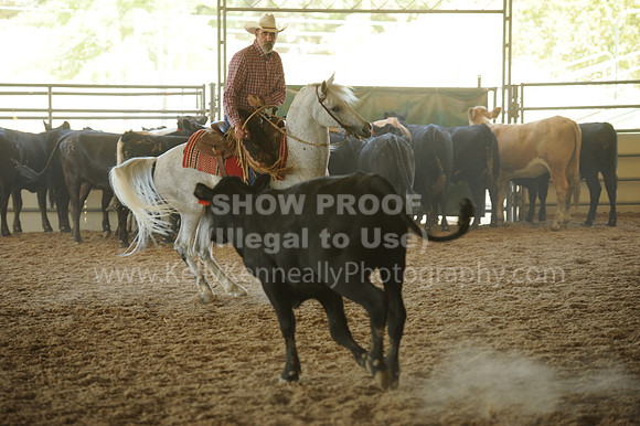 R318_WorkingCow_5574