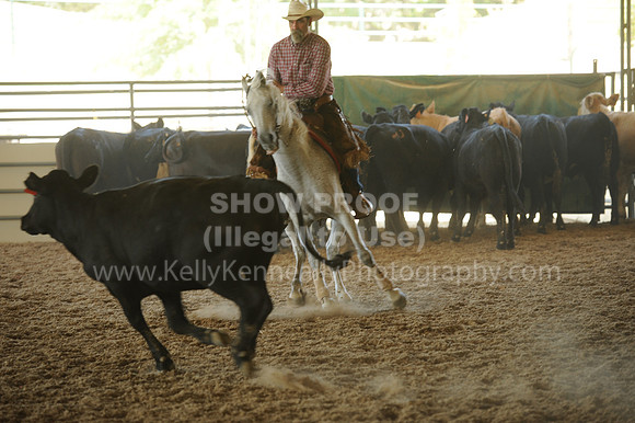 R318_WorkingCow_5575