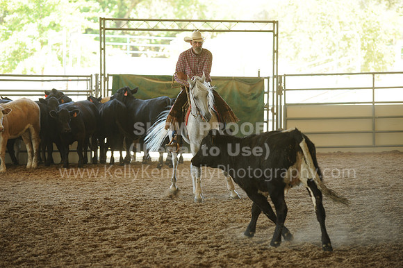 R318_WorkingCow_5582