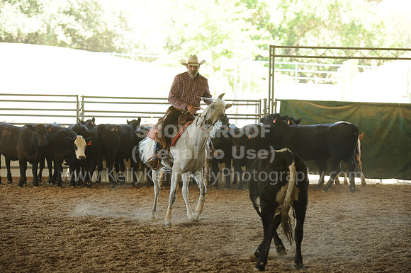 R318_WorkingCow_5583