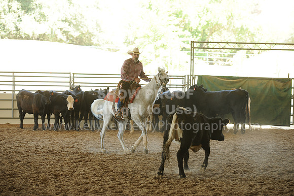 R318_WorkingCow_5585