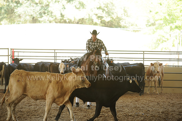 R318_WorkingCow_5587