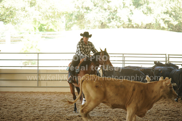 R318_WorkingCow_5589