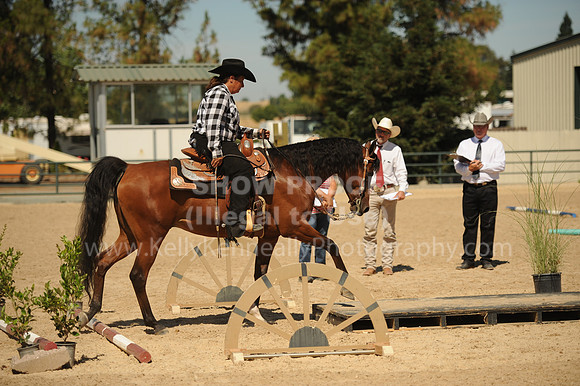 R318_Trail_5320