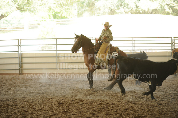 R318_WorkingCow_5601