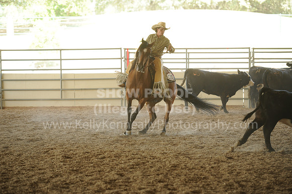 R318_WorkingCow_5602