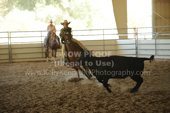 R318_WorkingCow_5606