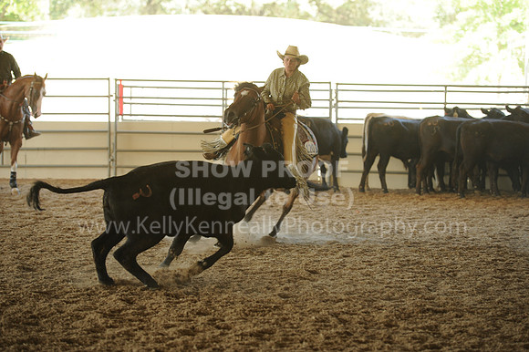 R318_WorkingCow_5607