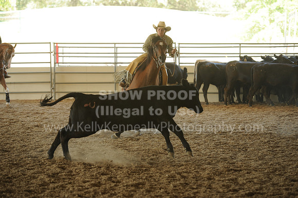 R318_WorkingCow_5608