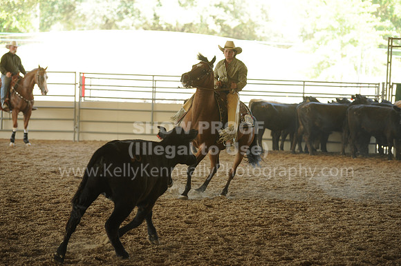 R318_WorkingCow_5610