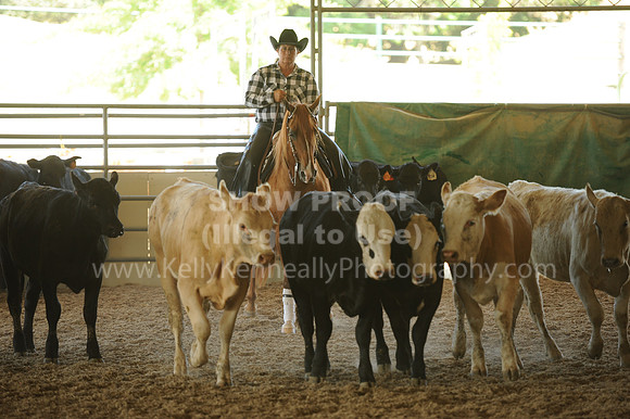 R318_WorkingCow_5613