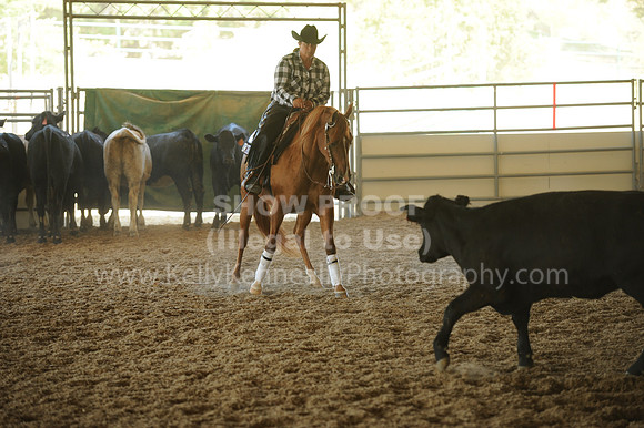 R318_WorkingCow_5621