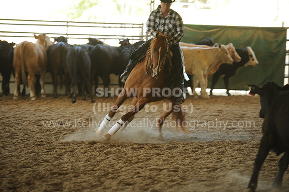 R318_WorkingCow_5625