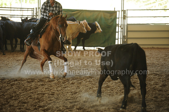 R318_WorkingCow_5626