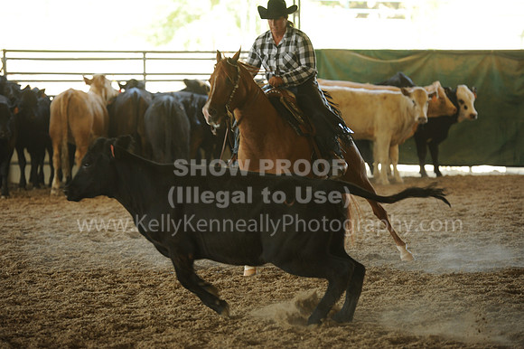 R318_WorkingCow_5628