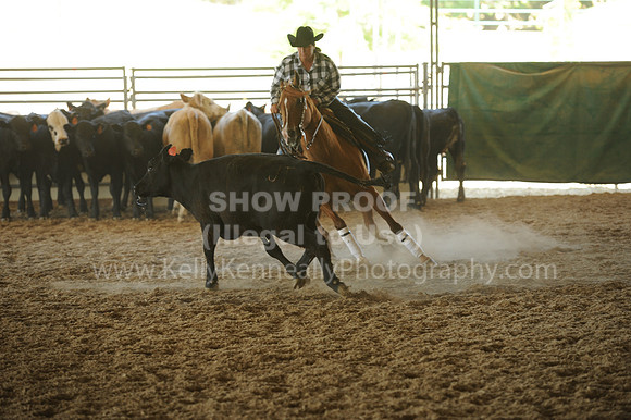 R318_WorkingCow_5638
