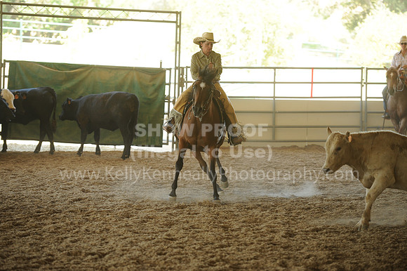 R318_WorkingCow_5644