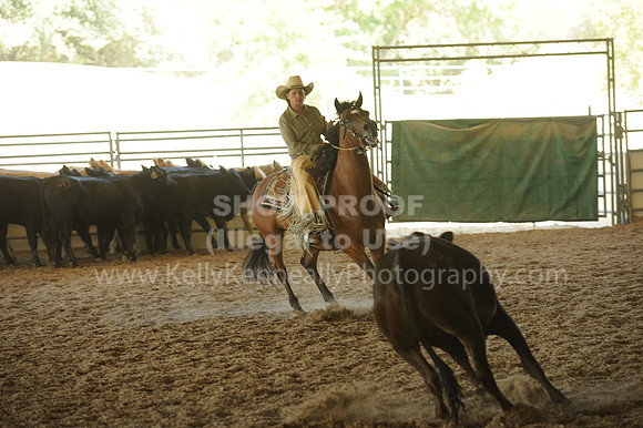 R318_WorkingCow_5648