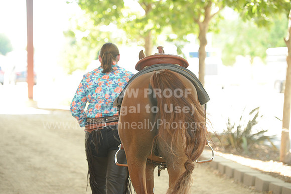 R318_WorkingCow_5652