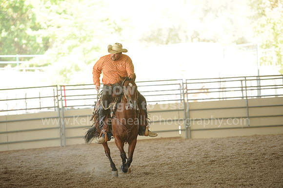 R318_WorkingCow_5662