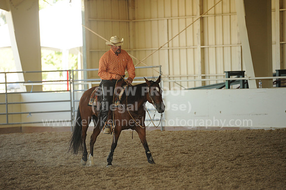 R318_WorkingCow_5666