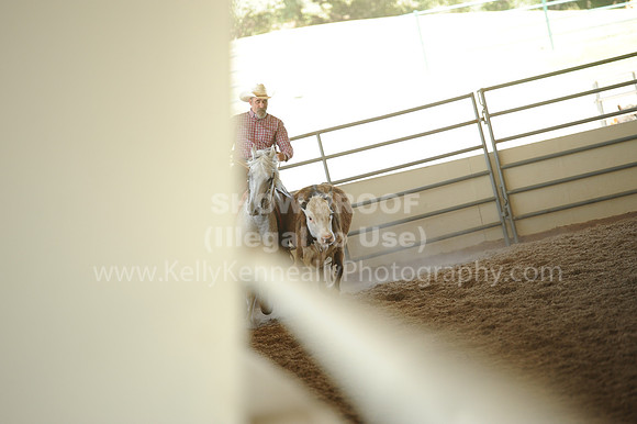 R318_WorkingCow_5672