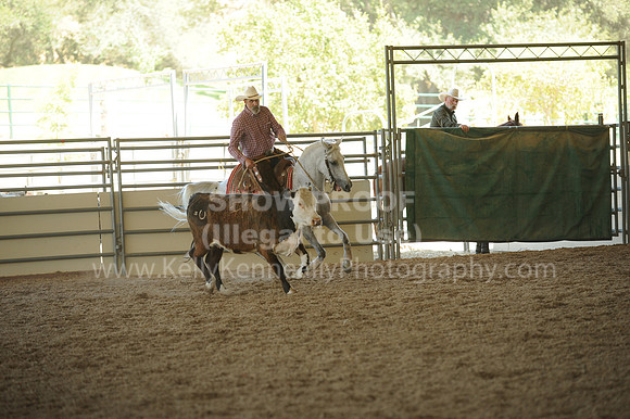 R318_WorkingCow_5675