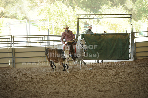 R318_WorkingCow_5676