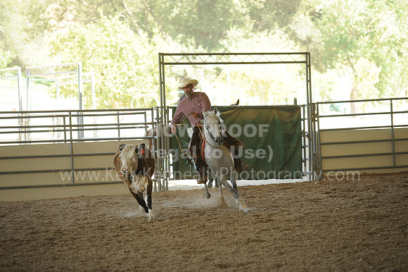 R318_WorkingCow_5677