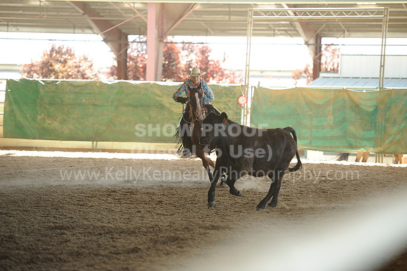 R318_WorkingCow_5678