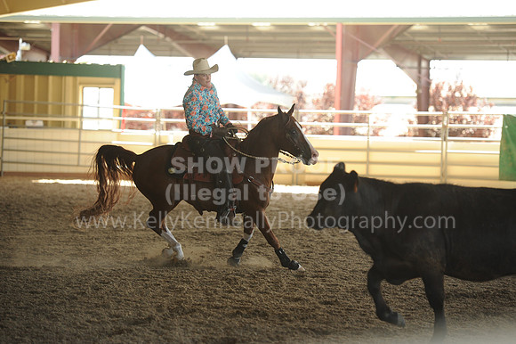R318_WorkingCow_5680