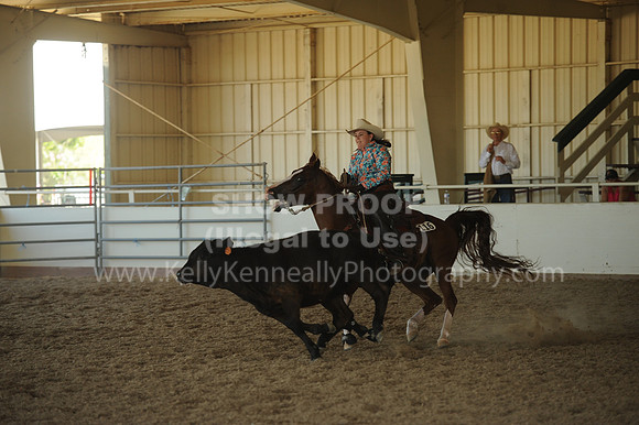 R318_WorkingCow_5686