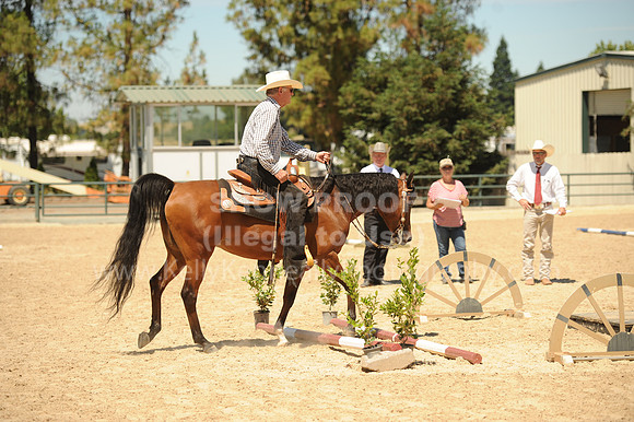 R318_Trail_5415
