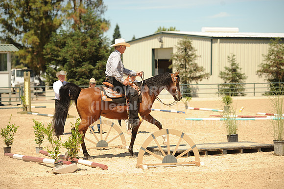 R318_Trail_5416