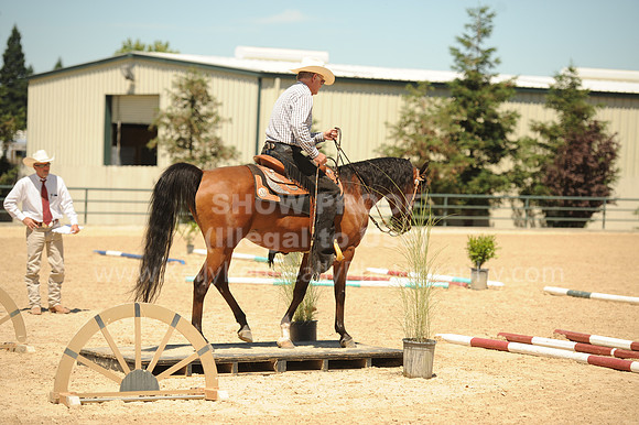 R318_Trail_5417