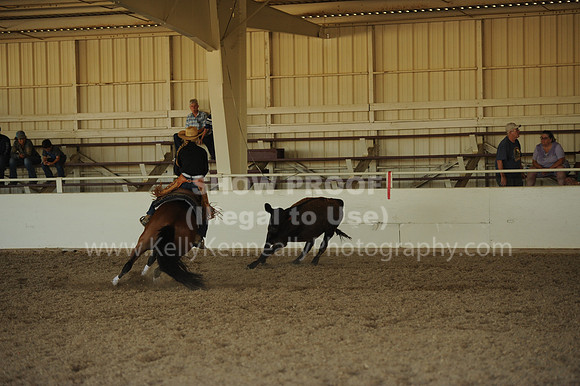 R318_WorkingCow_5692