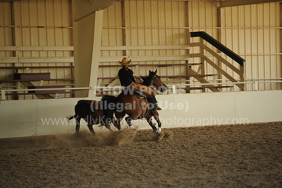 R318_WorkingCow_5695