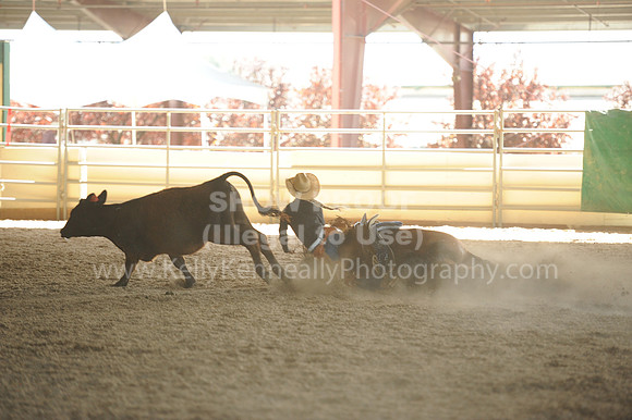 R318_WorkingCow_5704