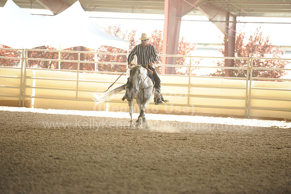 R318_WorkingCow_5714