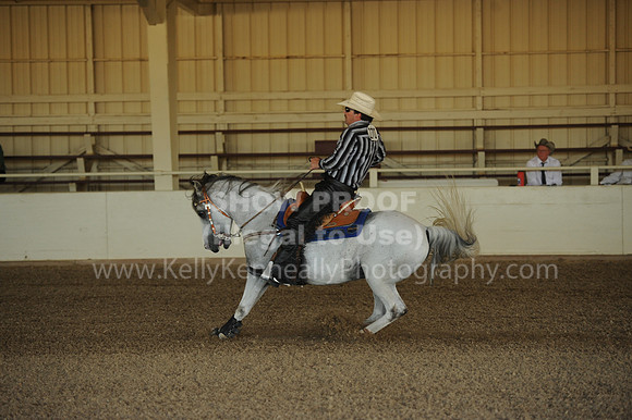 R318_WorkingCow_5715