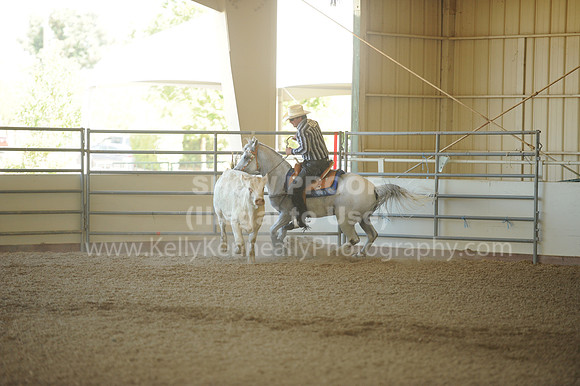 R318_WorkingCow_5721