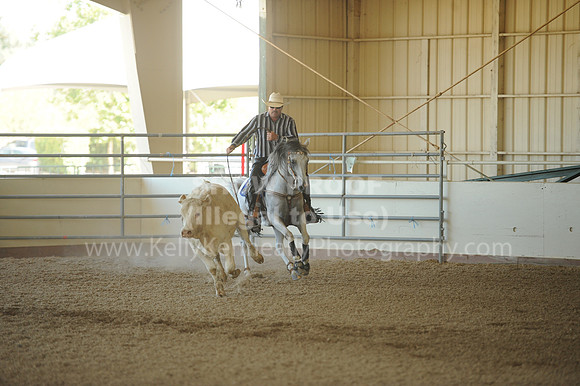 R318_WorkingCow_5722
