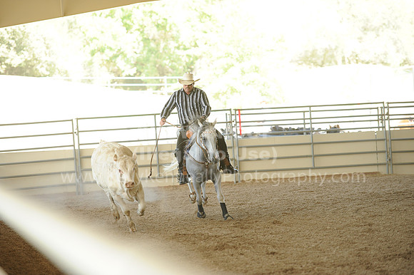 R318_WorkingCow_5723