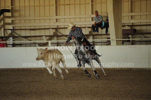 R318_WorkingCow_5726