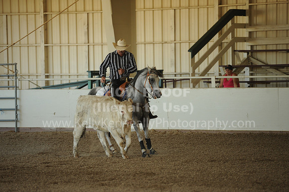 R318_WorkingCow_5727