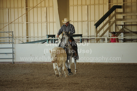 R318_WorkingCow_5728