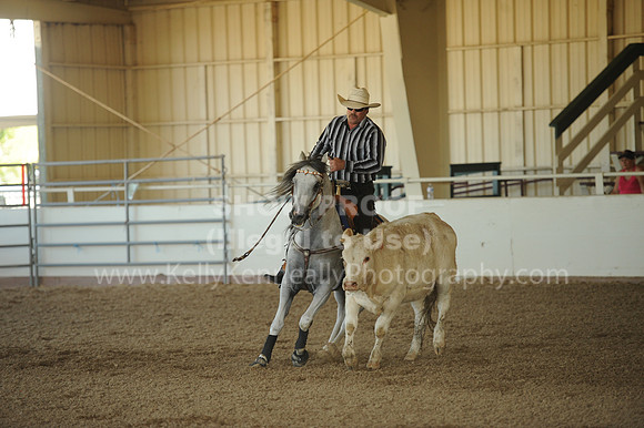 R318_WorkingCow_5729