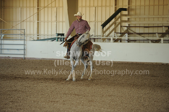 R318_WorkingCow_5733